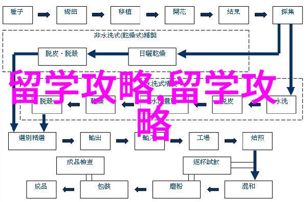 香港留学永居政策